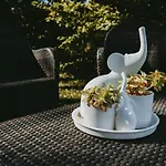 Alle Pendici Del Conero 2*