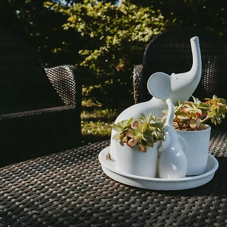 Alle Pendici Del Conero 2*