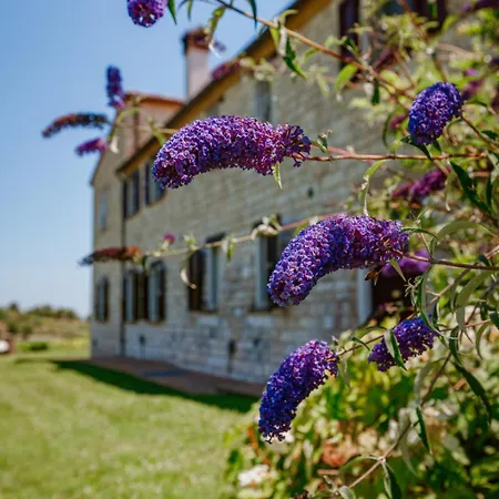 Alle Pendici Del Conero Hotel